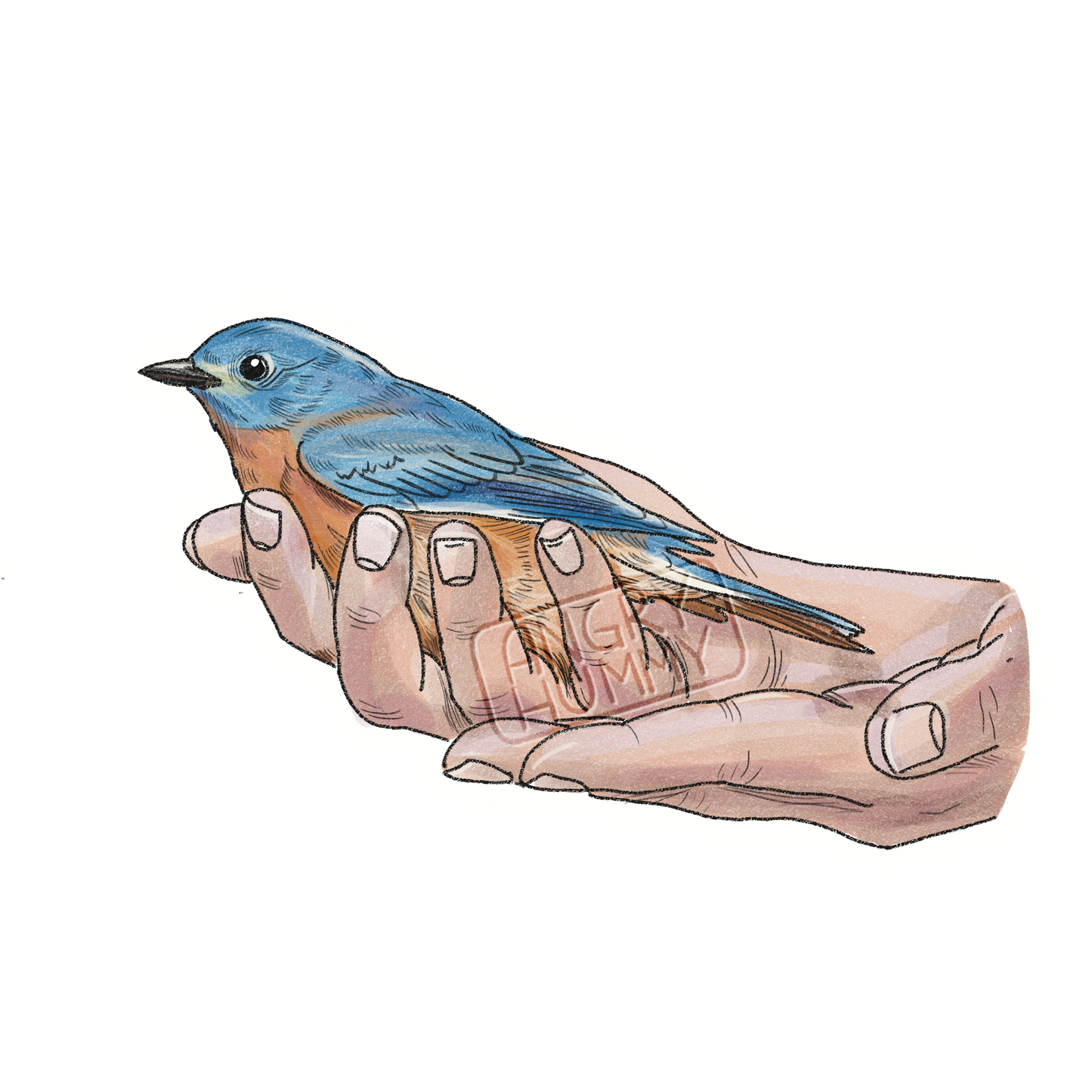 Commission - Bluebird in Hand Magnet