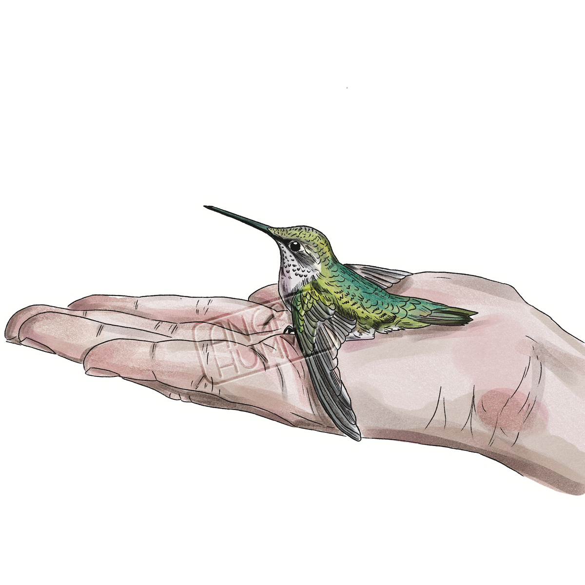 Commission - Hummy in Hand Magnet