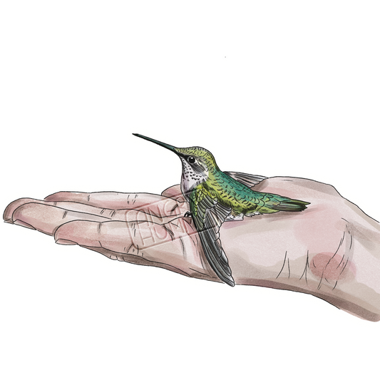 Commission - Hummy in Hand Magnet
