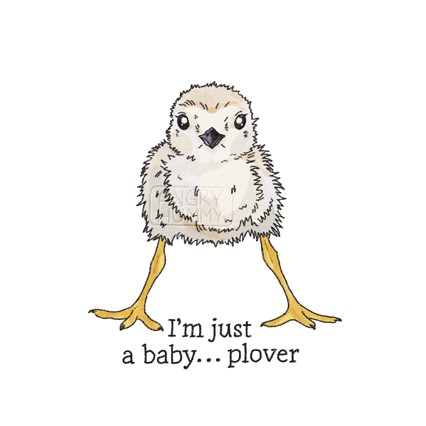 Hand drawn sticker showing a baby plover over text which reads "I'm just a baby...plover"